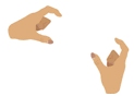 ş